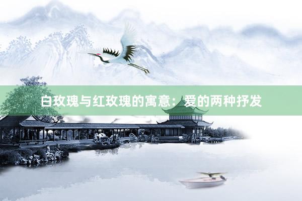白玫瑰与红玫瑰的寓意：爱的两种抒发