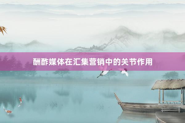 酬酢媒体在汇集营销中的关节作用